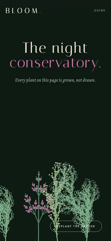The BLOOM night conservatory website concept on a phone