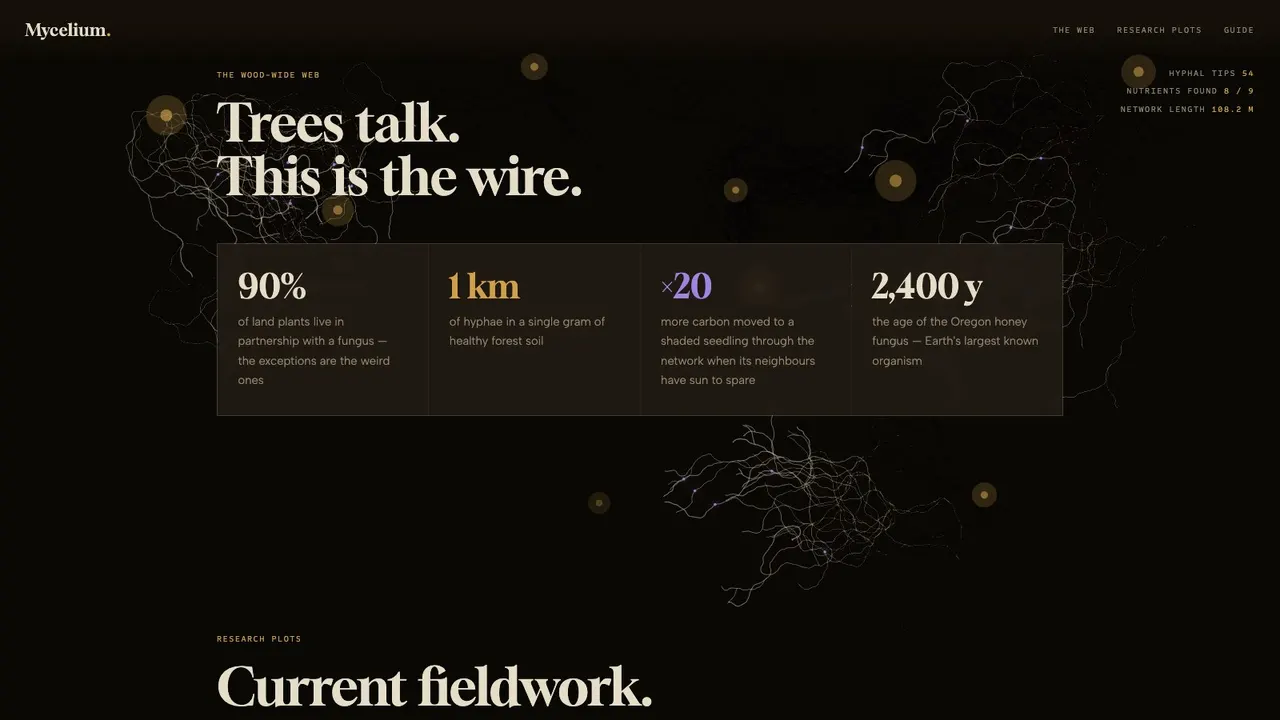 A section further down the MYCELIUM fungal-network institute website concept on a desktop screen