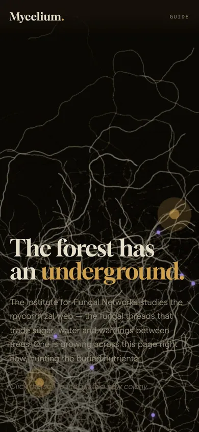 The MYCELIUM fungal-network institute website concept on a phone